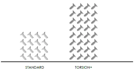 torsionplus2