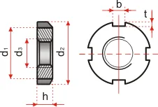 981schema
