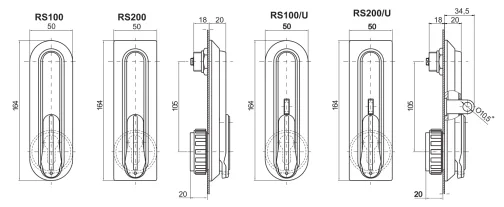 RS100